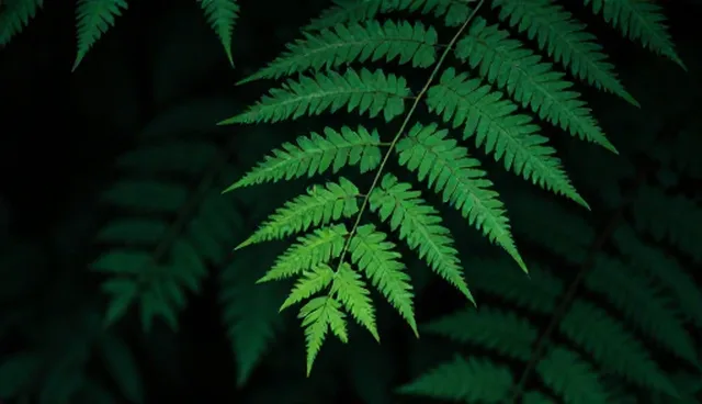 地区成本控制的适用条件与选择依据
